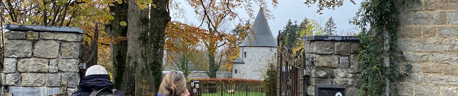 Tocht Stappen Ferrières - Vieuxville - Photo