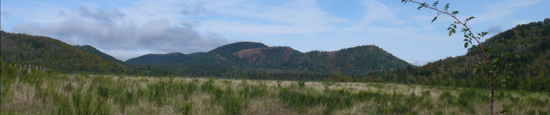 Randonnée Marche Aydat - Col-de-la Ventouse - Photo