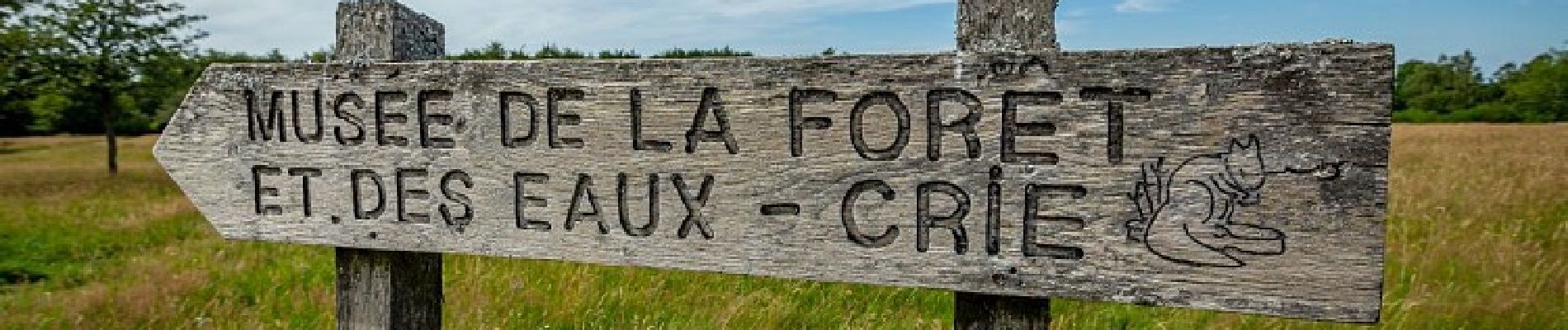 Point d'intérêt Spa - Musée de la Forêt et des Eaux - Photo