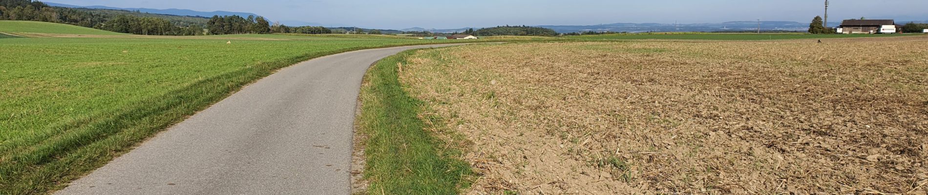 Percorso Bici ibrida Grancy - La Chaux - l'Isle - retour - Photo