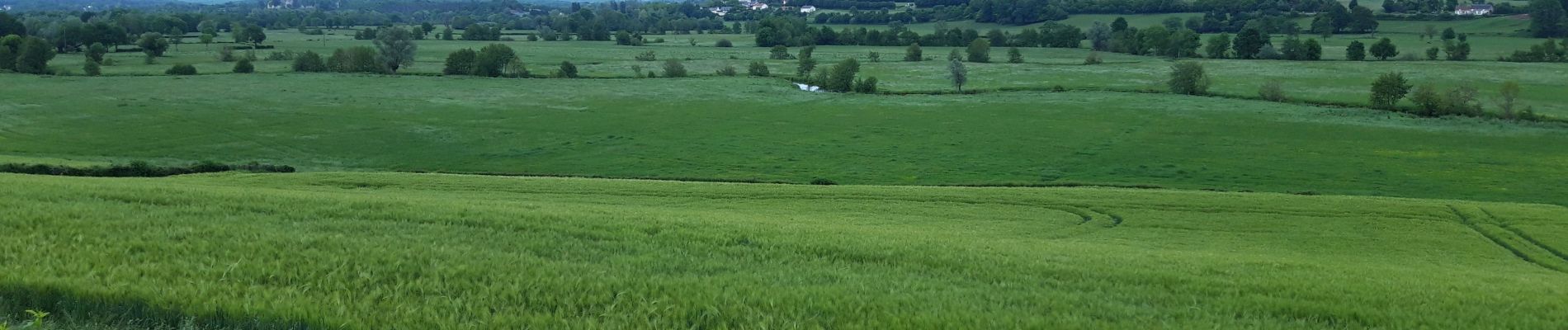 Excursión Senderismo Coulanges-lès-Nevers - boucle leclerc feuille  - Photo