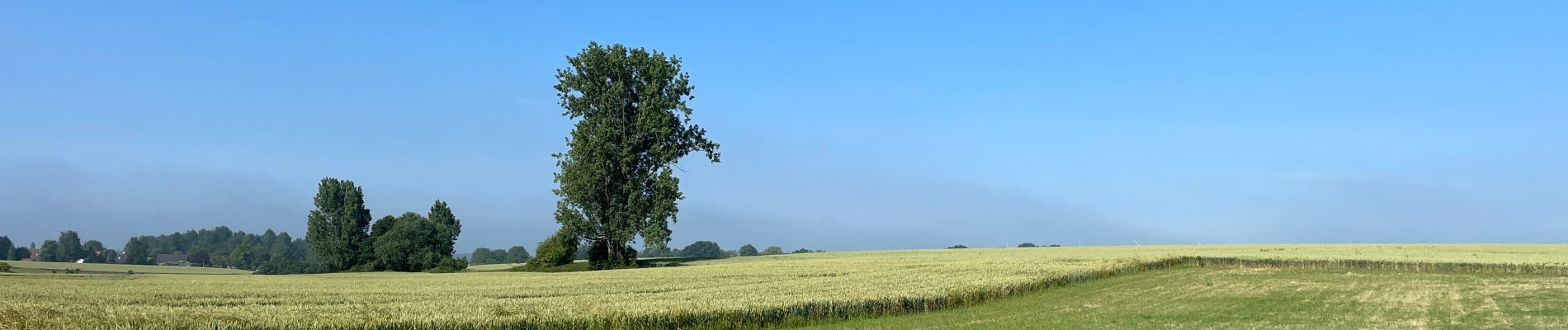 Tour  Les Bons Villers - Reves Sart a Reves - Photo