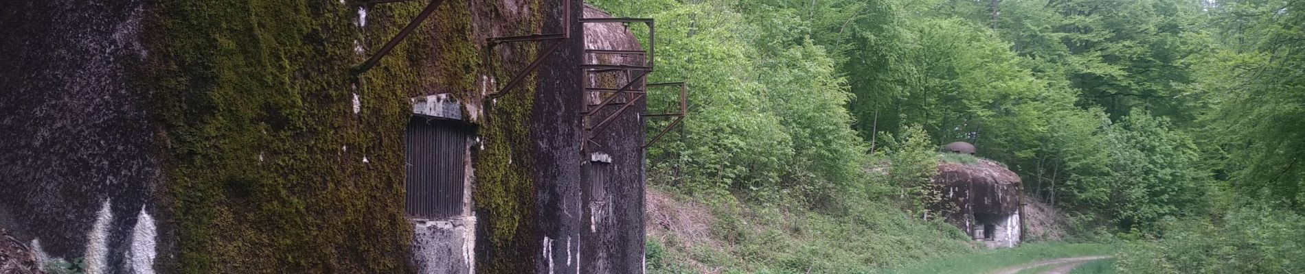 Tocht Stappen Siersthal - Derrière le Legeret - Photo