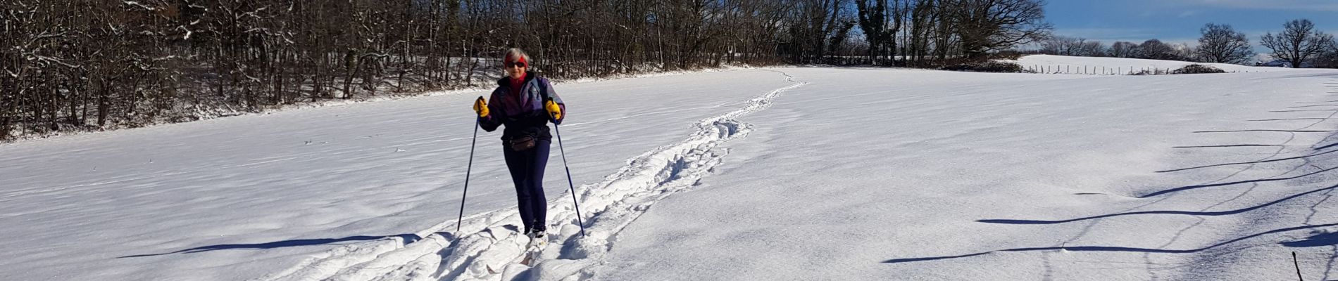 Tocht Langlaufen Gex - mont mourex - Photo