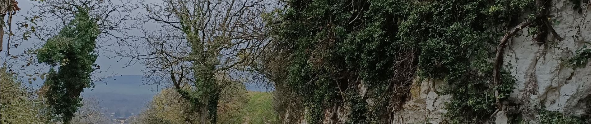 Percorso Marcia Joigny - Rando sur les hauteurs de Joigny  - Photo