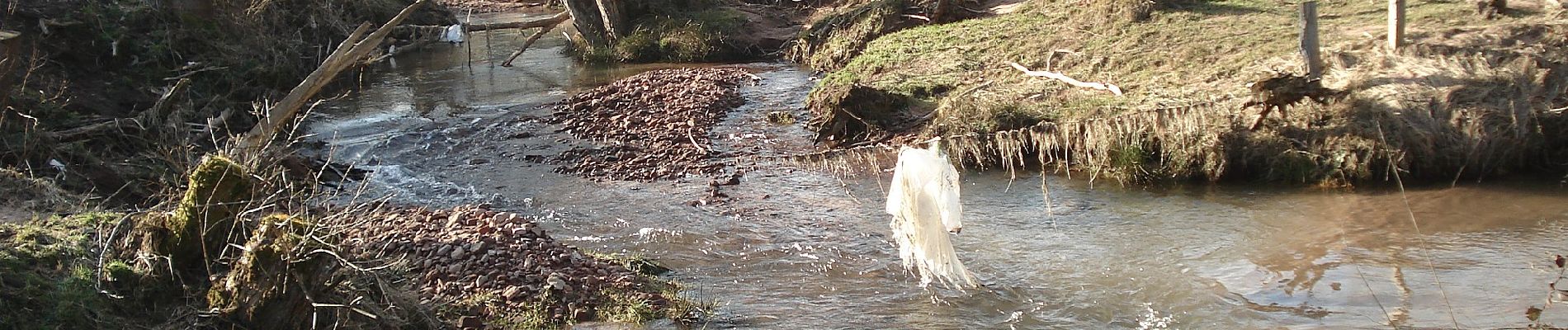 Percorso A piedi Fellen - Roter Hase, Rundwanderweg Fellen - Photo