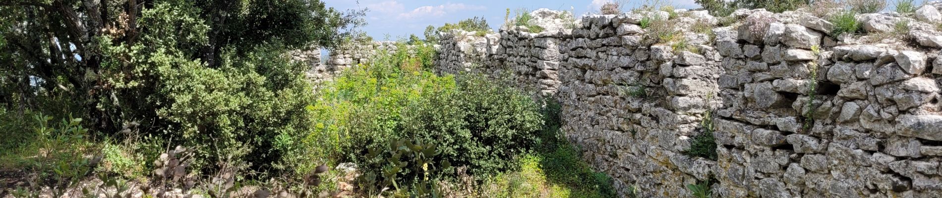 Randonnée Marche Rougiers - Rougiers  - Photo