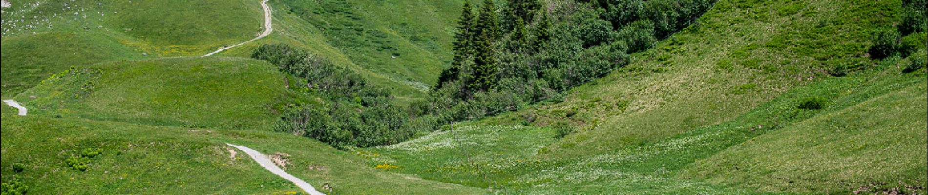 Excursión Senderismo Gemeinde Lech - Boucle à décrire  - Photo