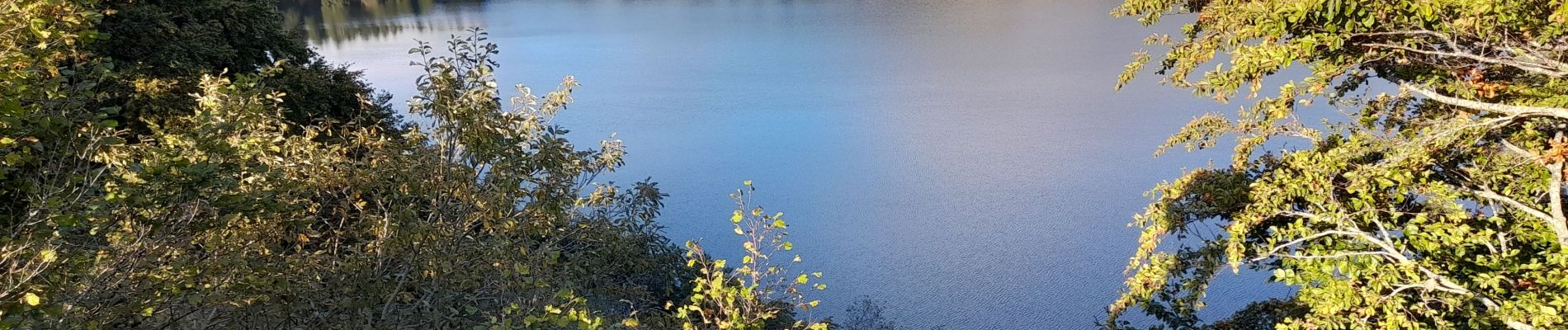 Randonnée Marche Saulzet-le-Froid - Lac de Guery - Puy Gros - Photo