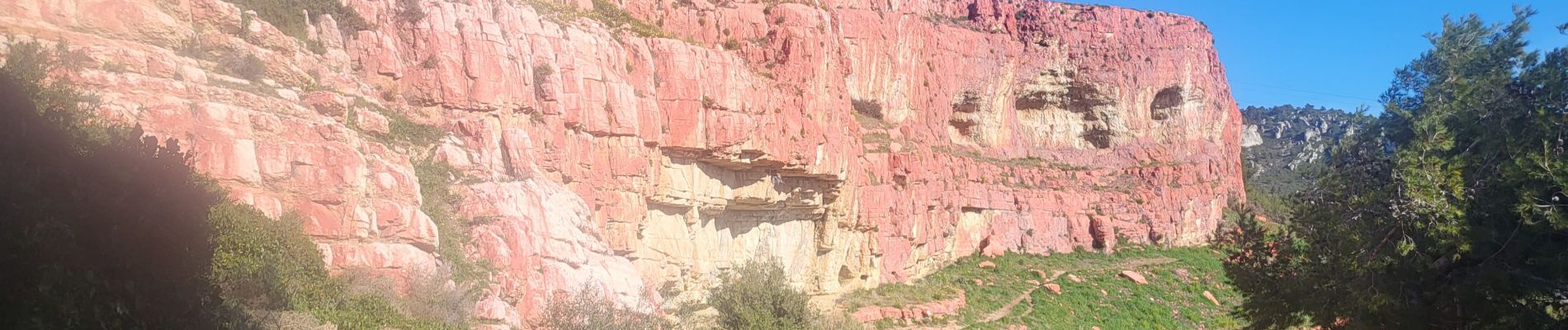 Excursión Senderismo Allauch - Notre Dame des Anges - Photo