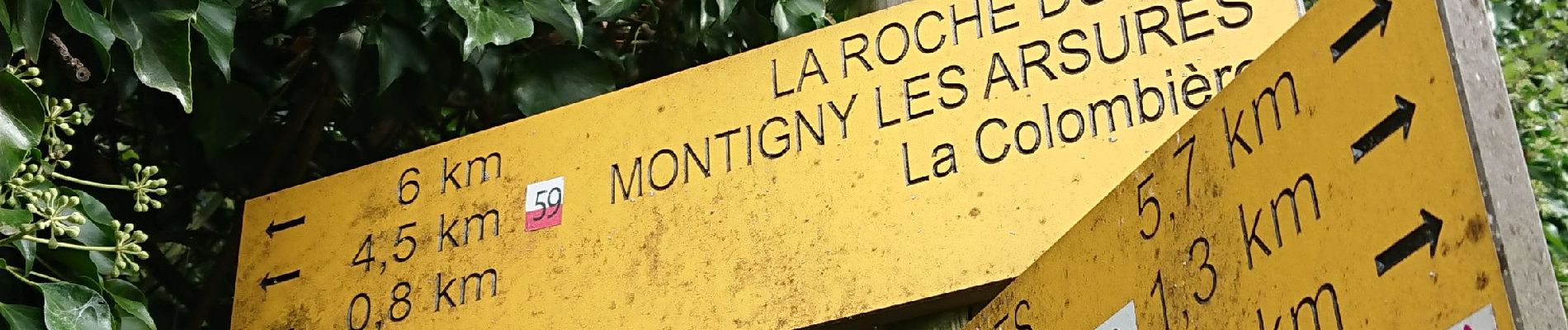 Trail Walking Montigny-lès-Arsures - Montigny les Arsures  - Photo