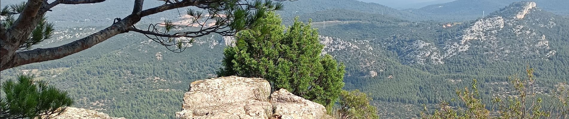 Randonnée Marche Toulon - Tour du Faron - Photo