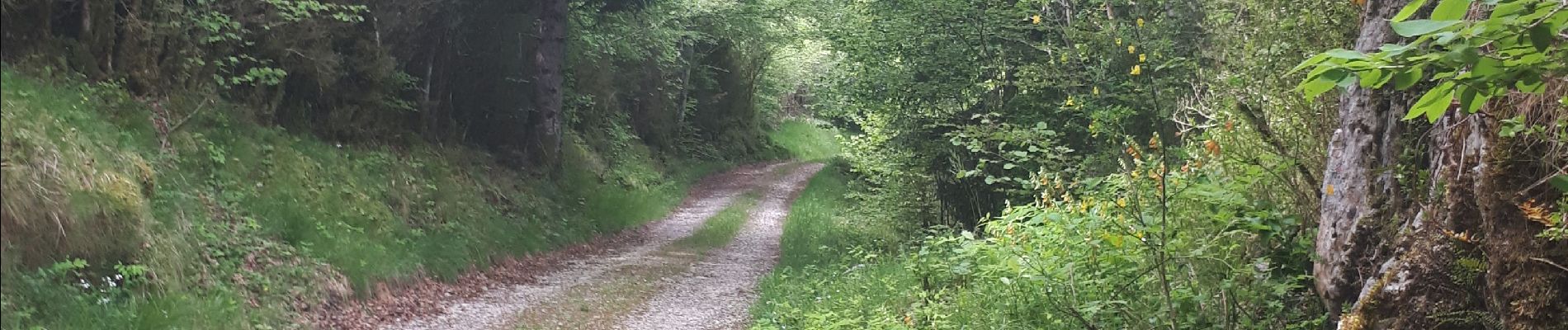 Trail Walking Quillan - Cathares E4 Quillan Quirbajou 04.06.2019 - Photo