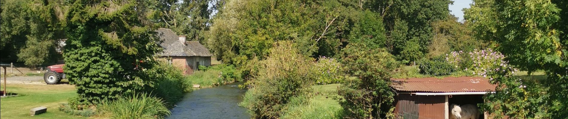 Tour Wandern Douvrend - autour de douvrend - Photo