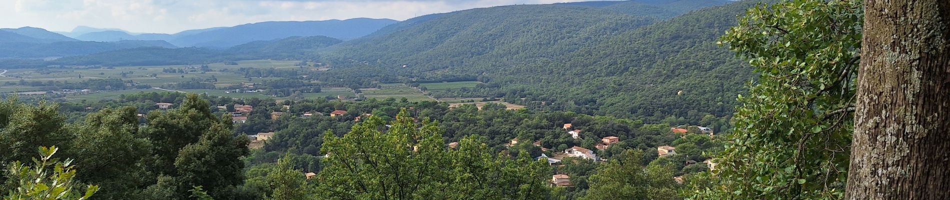 Tour Wandern La Roquebrussanne - n1 La roquebrussanne - Photo