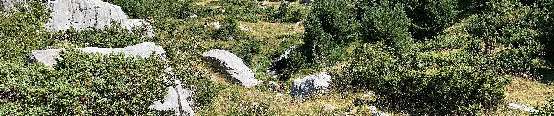 Percorso A piedi Aísa - Ruta del Puerto de Aísa - Photo