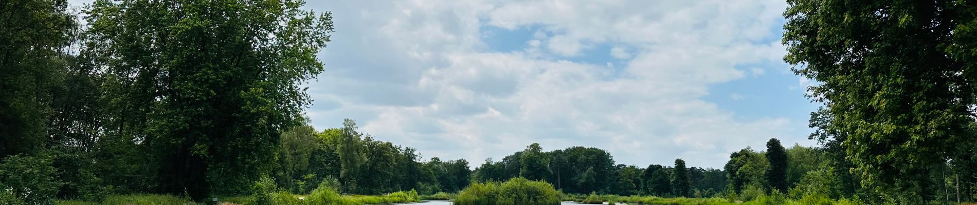 Randonnée Marche Hamont-Achel - La vallée du Warmbeek : le domaine « de Bever » à Hamont-Achel - Photo