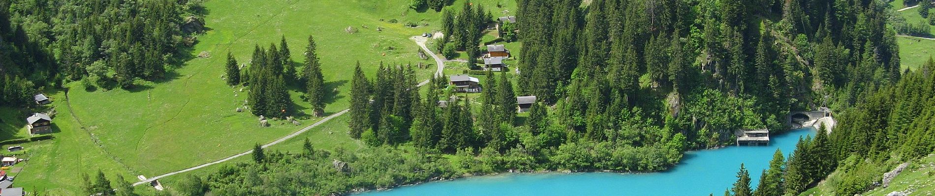 Tour Zu Fuß Val de Bagnes - Fionnay-Bonatchiesse - Photo