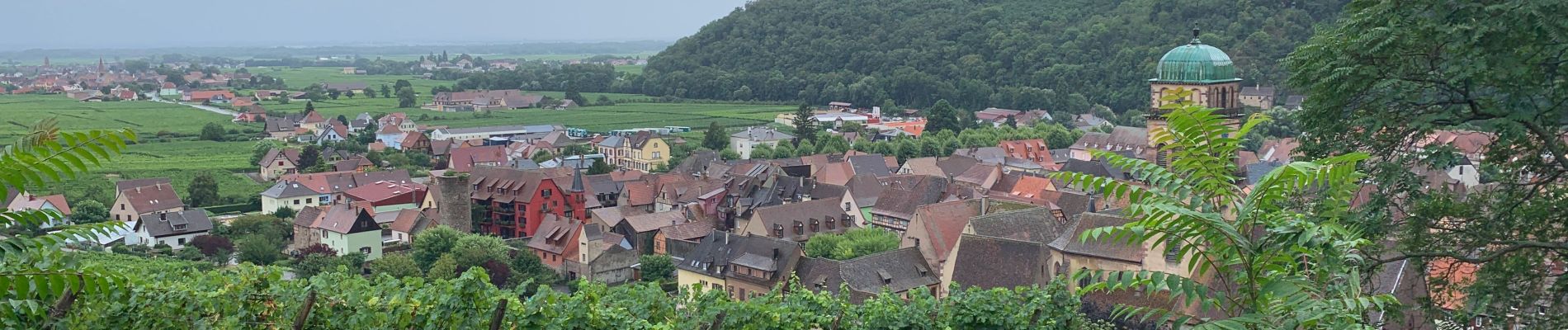 Tour Wandern Kaysersberg-Vignoble - Kaysersberg randonnée  - Photo