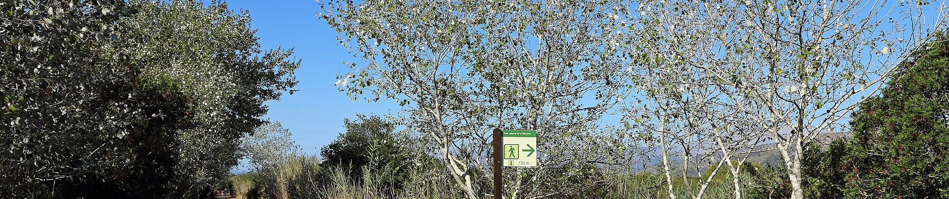 Percorso A piedi sa Pobla - Cami d'Enmig-ses Puntes - Photo