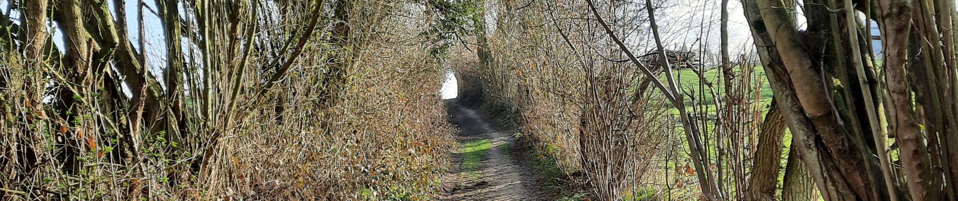 POI Villers-la-Ville - Vers la rue Ruffin - Photo