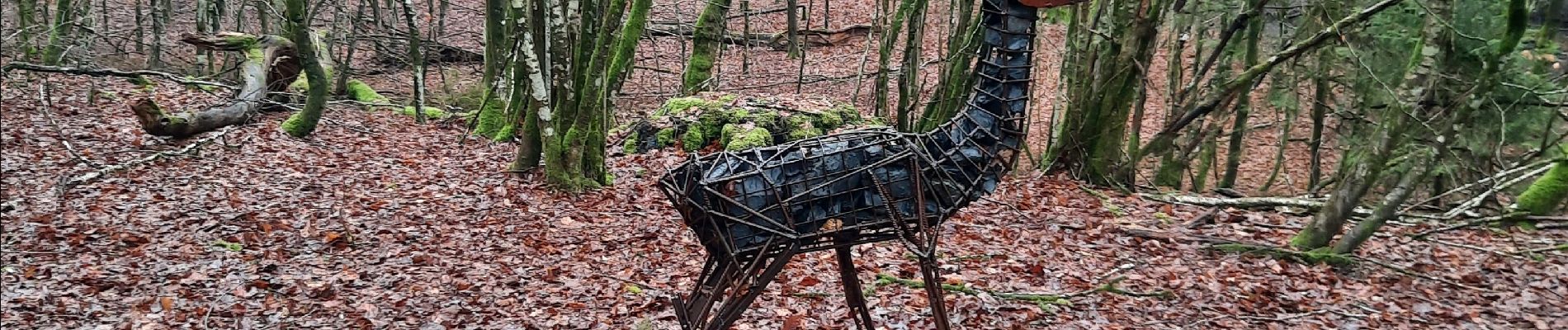 Randonnée Marche Habay - adeps marbehan  - Photo