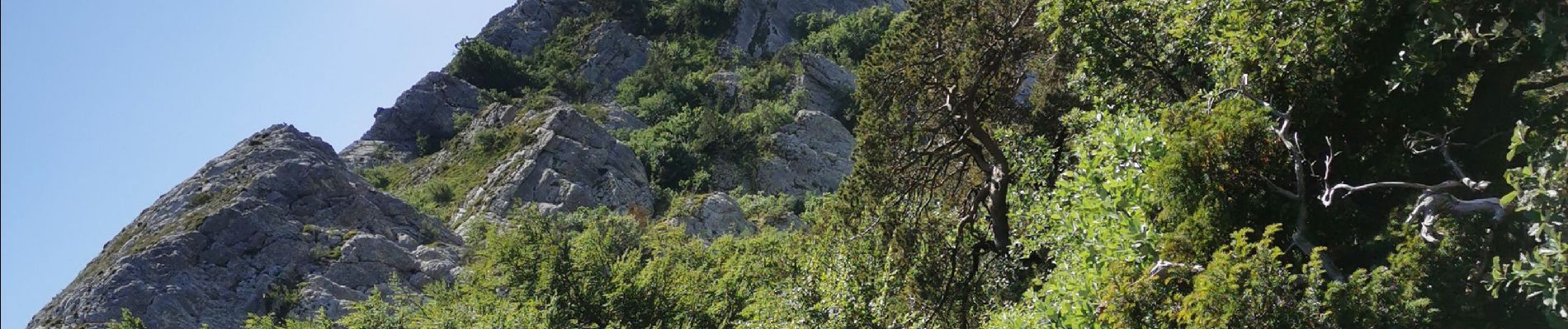 Randonnée Marche Plan-d'Aups-Sainte-Baume - ste baume pas de l ail par jouc de l aigle - Photo