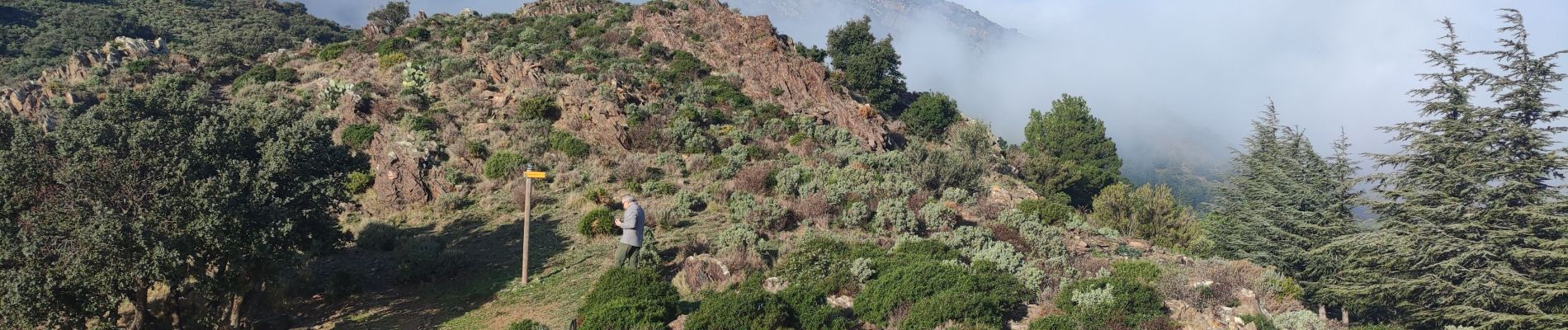 Excursión Senderismo Cerbère - QUERROIGT FÀIT DIMANCHE - Photo