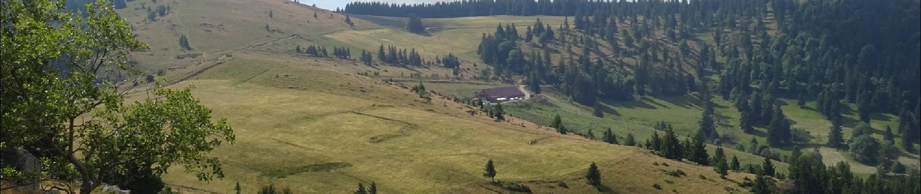 Tour Wandern Sondernach - 2022-07-10 Boucle et sommet du Petit Ballon  - Photo