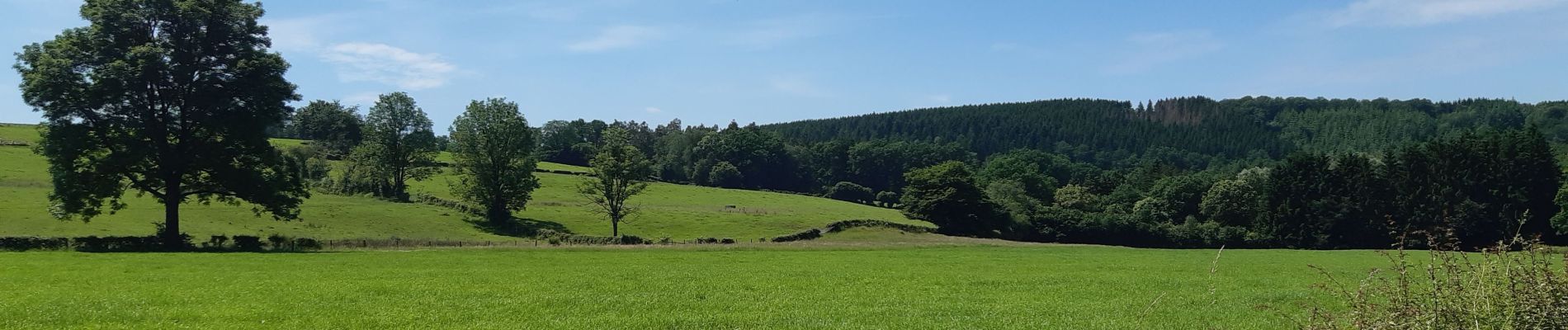 Excursión Senderismo Jalhay - royonpré . lew 7 frères.  retour - Photo