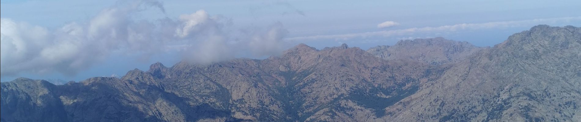 Randonnée Marche Corscia - monte verdattu  - Photo