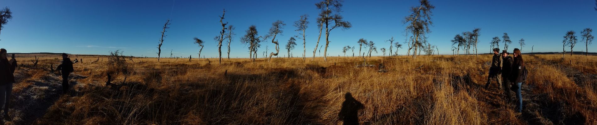 Trail Walking Waimes - La grande boucle du plateau - Photo