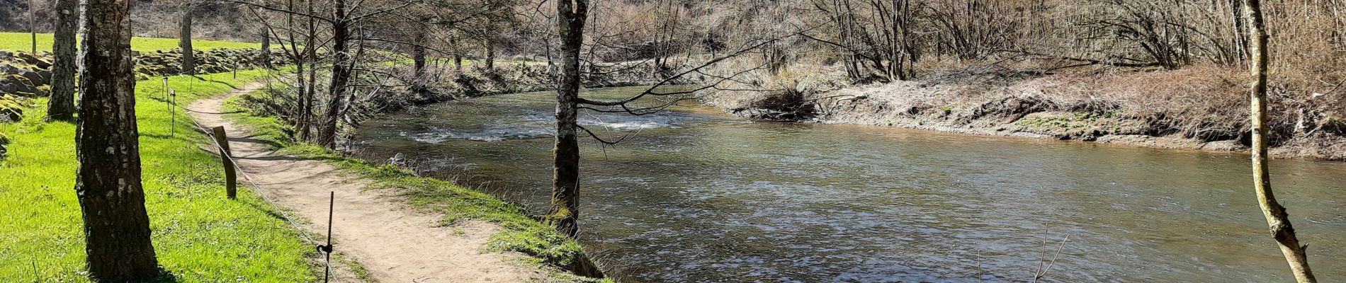 Tour Wandern Dinant - Dinant - Anseremme - Photo