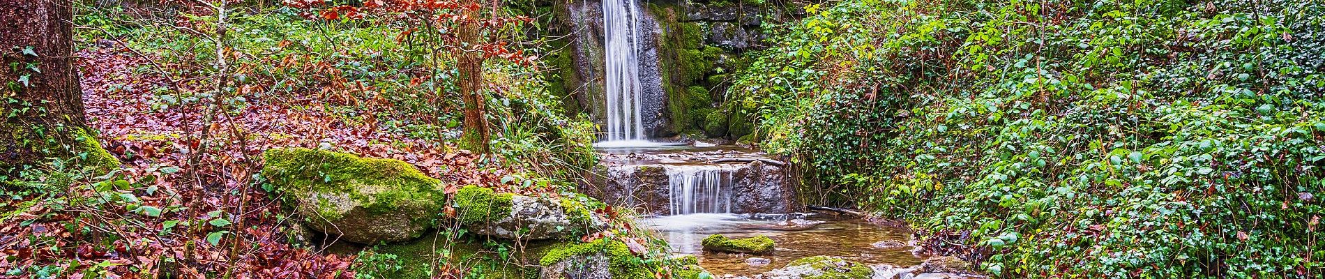 Trail On foot Wald (ZH) - Wald - Farneralp - Photo