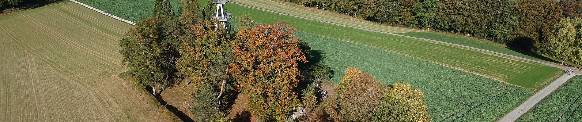 Percorso A piedi Reinach - Zetzwil - Homberg - Photo