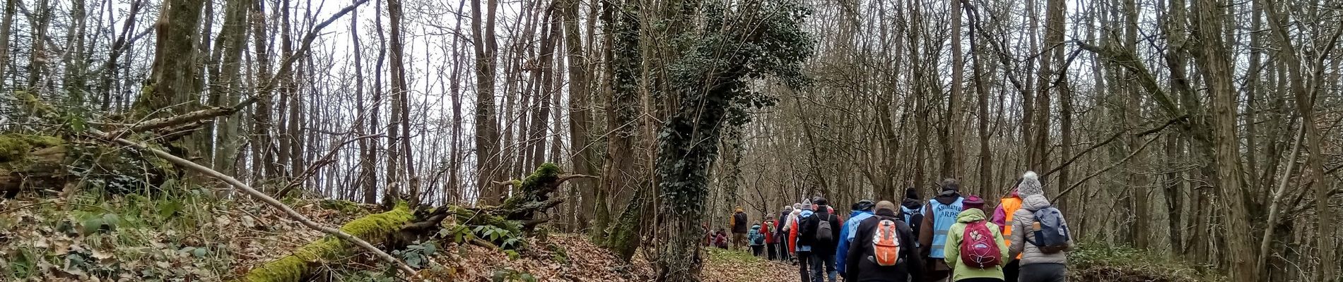 Tocht Stappen Bouresches - Bouresches du 02-02-2023 - Photo