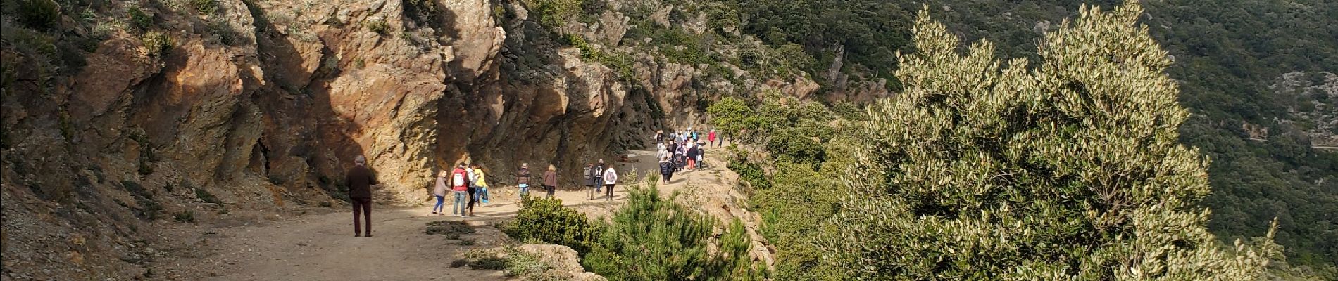 Excursión Senderismo Cavalaire-sur-Mer - Les Pradels - Photo