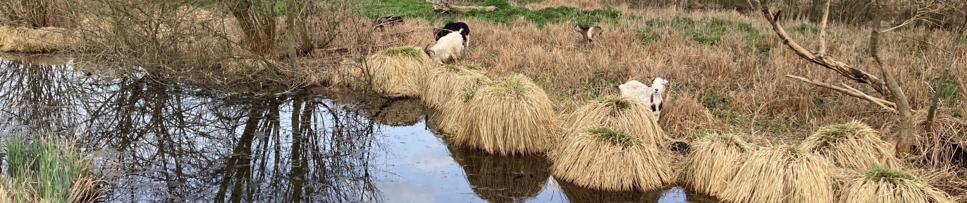 Randonnée Marche Bray-sur-Somme - Bray sur Somme - Photo