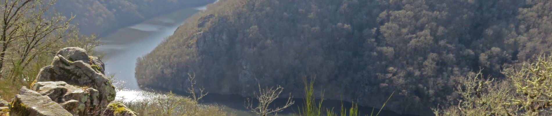 Randonnée Marche Bassignac-le-Haut - Bassignac le haut - Vers le trou du loup - Photo