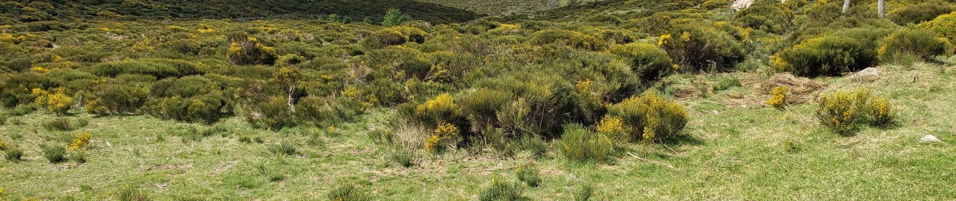 Excursión Senderismo Lablachère - geolo1 - Photo