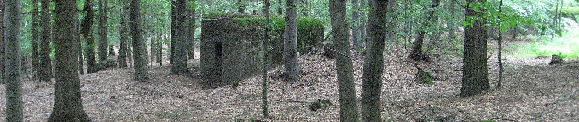 Tocht Te voet Rtyně v Podkrkonoší - [Ž] Pod Větrným dolem - Odolov - Photo