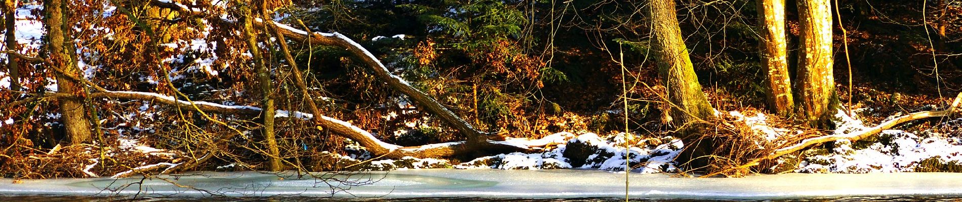 Percorso A piedi Sconosciuto - Rundwanderweg um Huchenfeld 