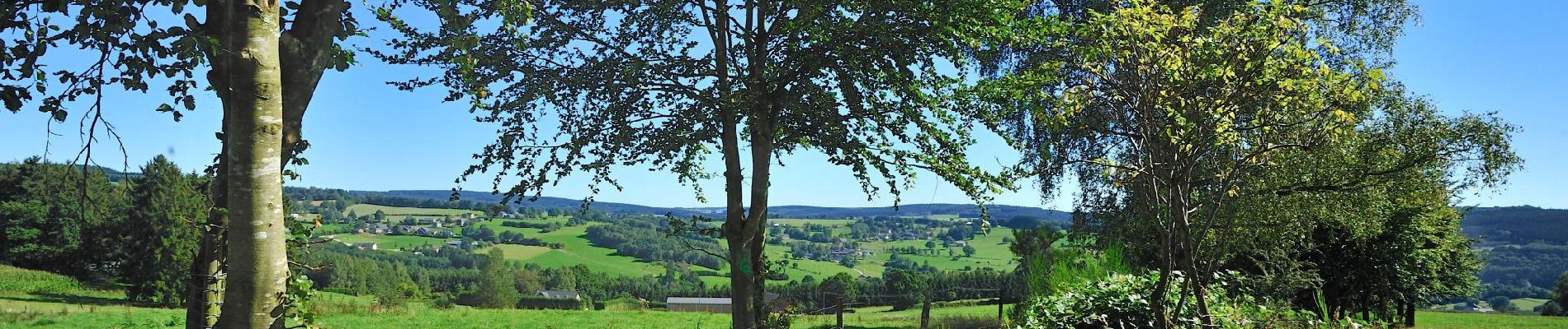 Excursión Senderismo Malmedy - Au départ de l'auberge vers Chôde. - Photo