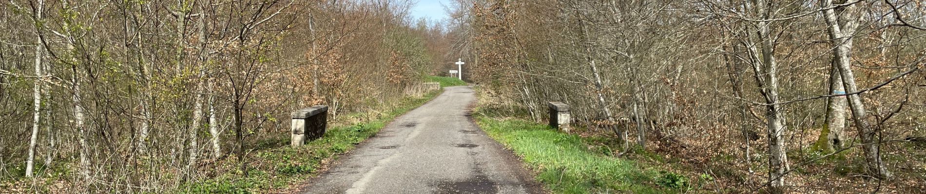 Trail Walking Compiègne - en forêt de Compiègne_48_sur les Routes de la Mariolle et du Grand Veneur - Photo