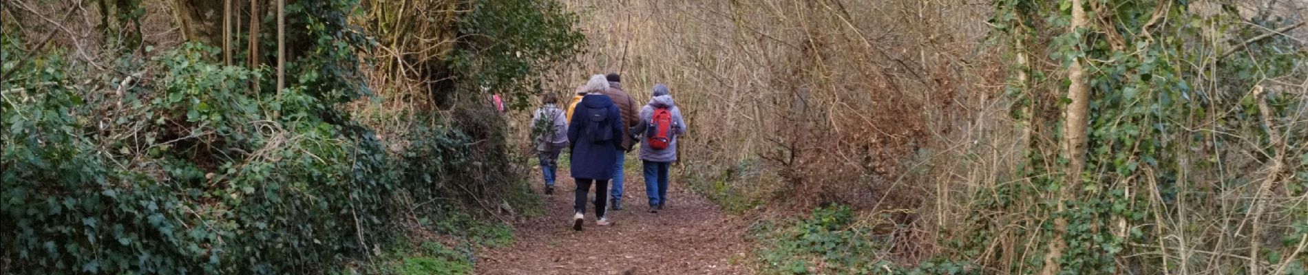 Tocht Stappen Saint-Ciers-sur-Bonnieure - Le circuit des moulins de st ciers de Bonnieure - Photo