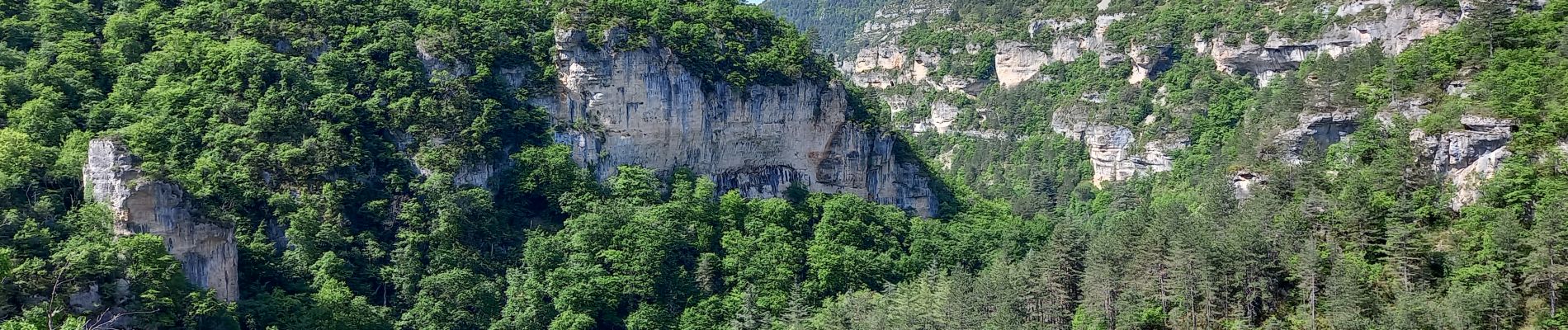 POI Gorges du Tarn Causses - face à Pougnadoires - Photo