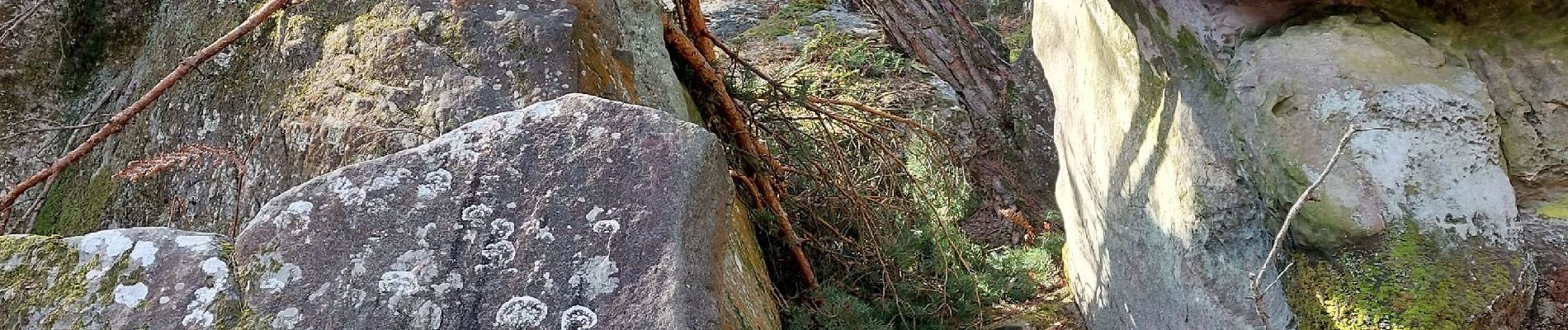 Punto di interesse Fontainebleau - L'Arche des Druides - Photo