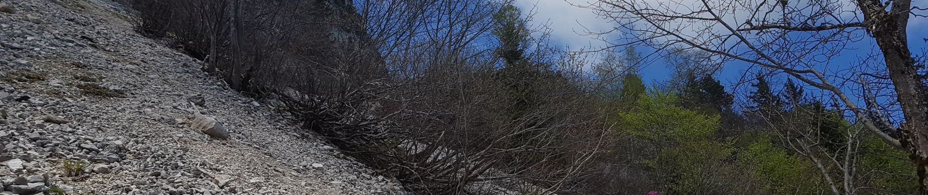 Trail Walking Saint-Nizier-du-Moucherotte - Moucherotte 30 mai 2019 - Photo