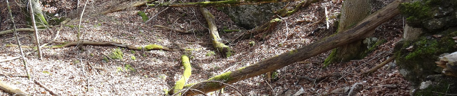 Percorso A piedi Gomadingen - Nebenweg - Salmendingen - Weg Nr. 1 - L385 - Salmendingen - HW1 - Photo