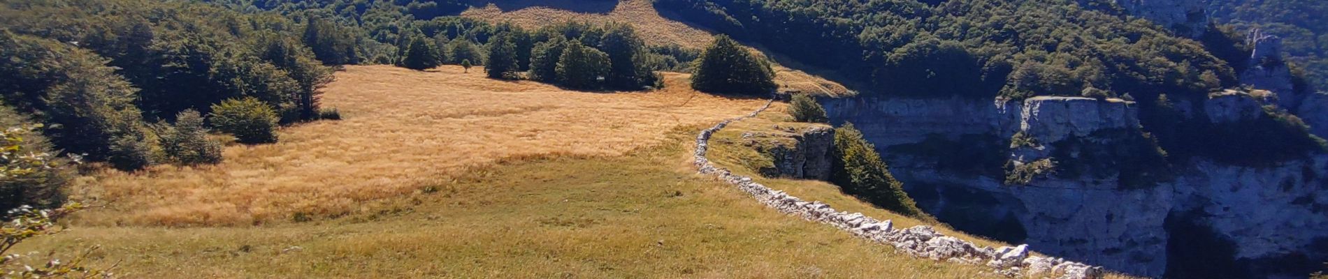 Tour Wandern Omblèze - roc de Toulaud /tête de la Dame / mur des Chartreux - Photo